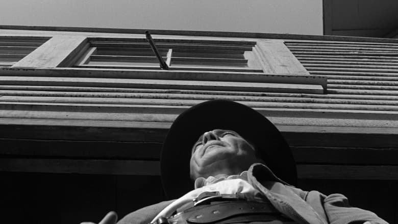 Forty Guns still