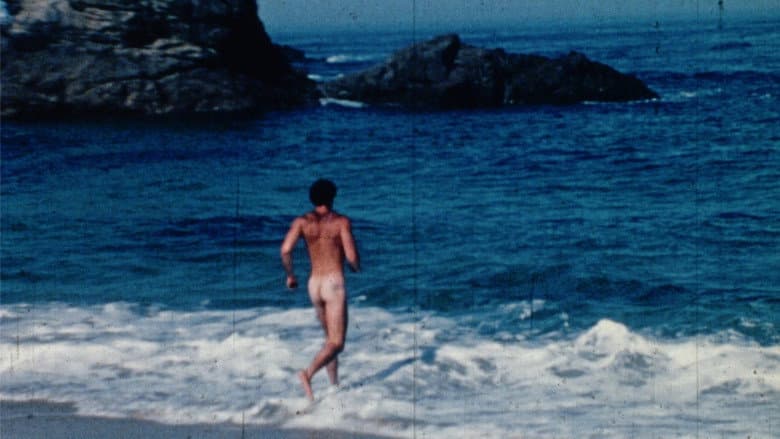 Big Sur Gay Porn still
