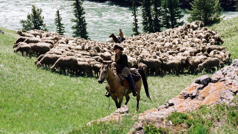 Brokeback Mountain still