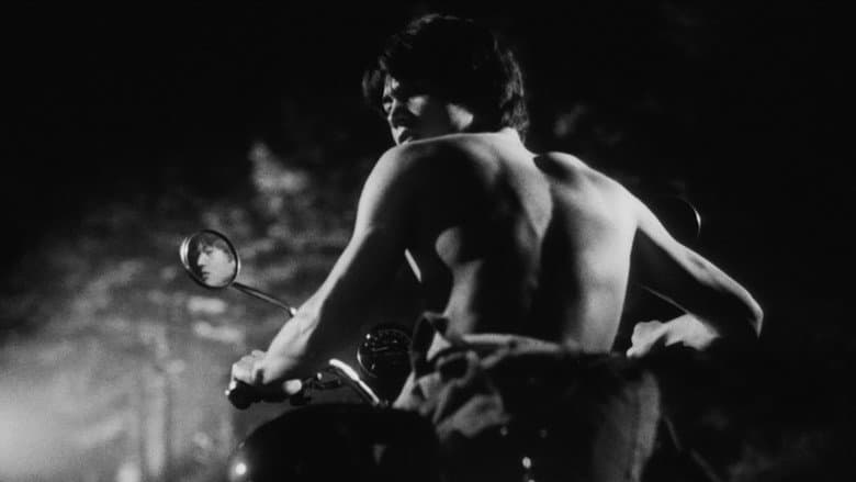 His Motorbike, Her Island still