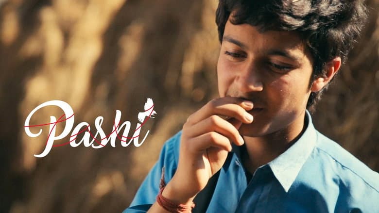Pashi still