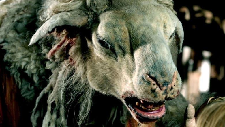 Black Sheep still