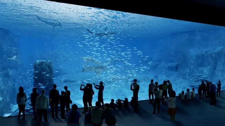 Nausicaa: The Largest Aquarium in Europe still