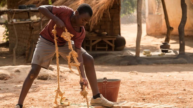 The Boy Who Harnessed the Wind still