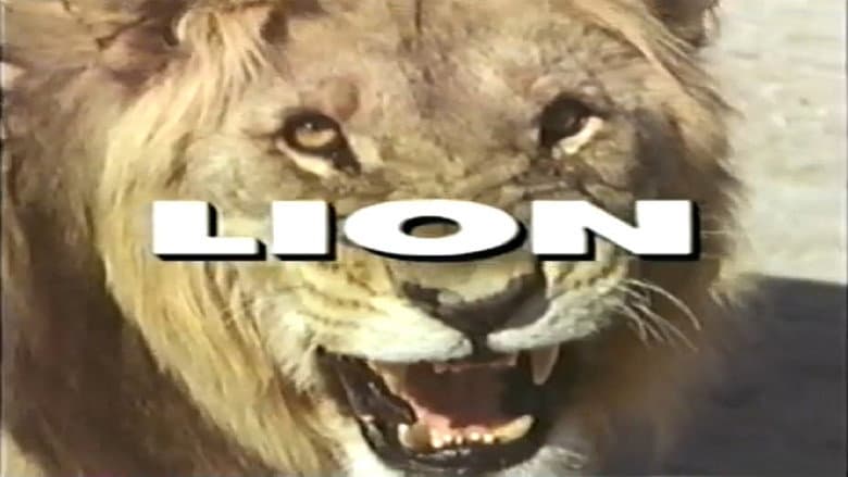 Predators of the Wild: Lion still