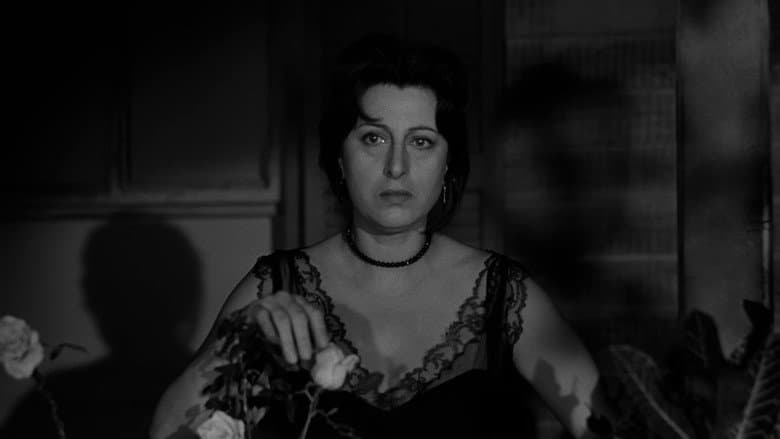The Rose Tattoo still