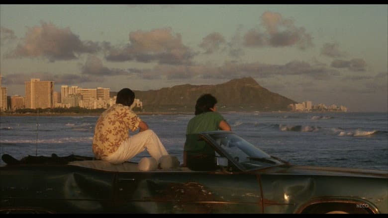 Hawaiian Dream still