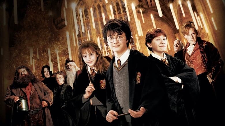 Harry Potter and the Chamber of Secrets still