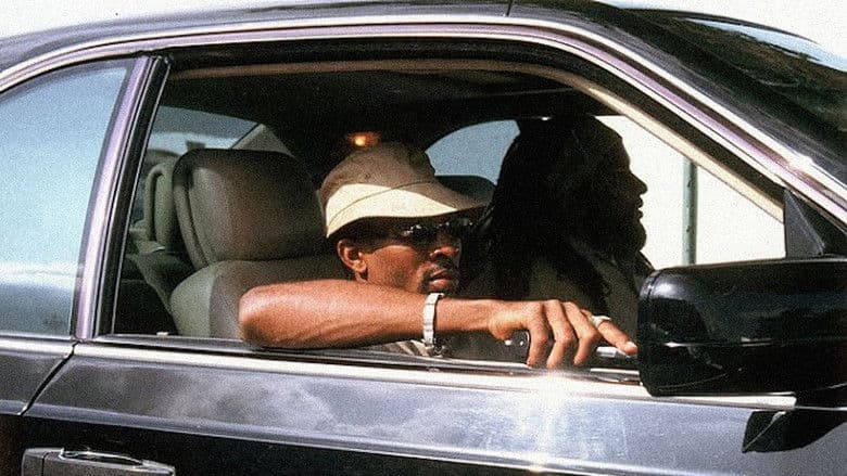 Shottas still