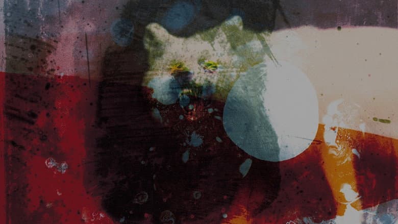 Mogwai: As the Love Continues still