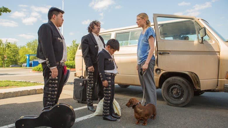 Wiener-Dog still