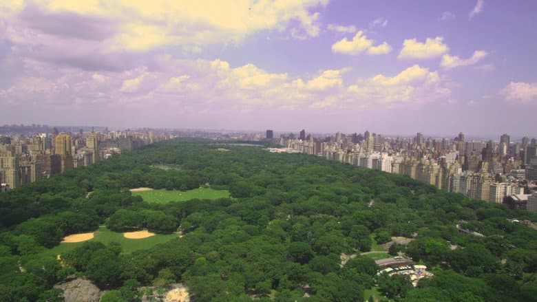 Olmsted and America's Urban Parks still
