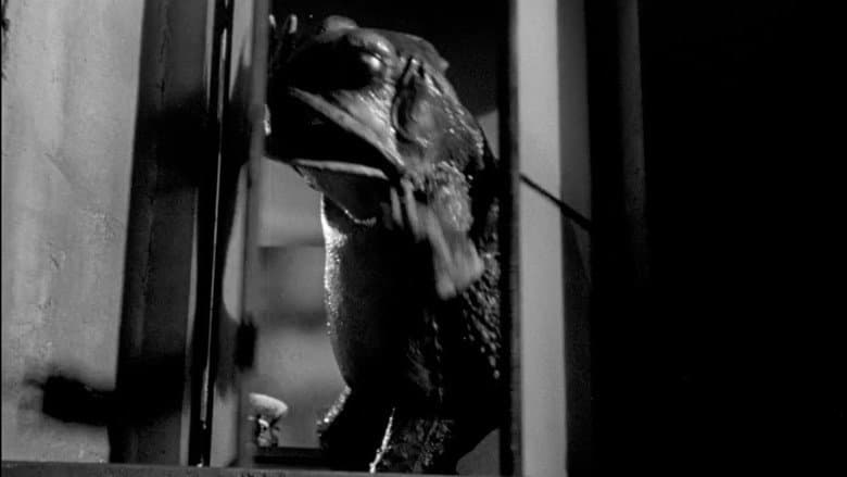 The Maze still
