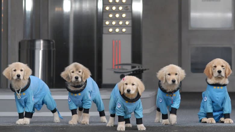 Space Buddies still
