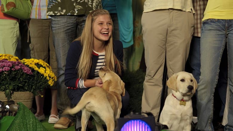 Marley & Me: The Puppy Years still
