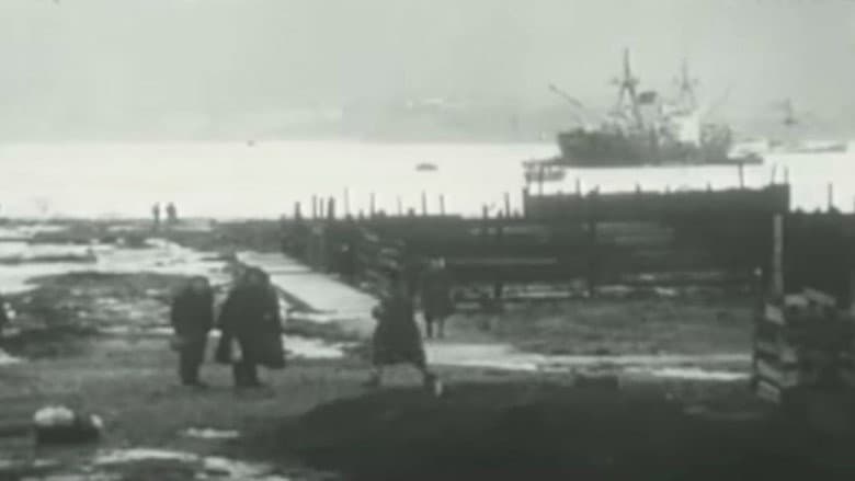 Valdivia 1960, El Gran Terremoto still