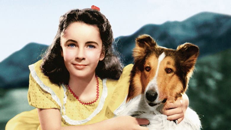 Courage of Lassie still