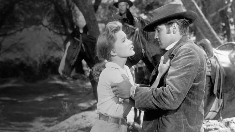 Love Me Tender still