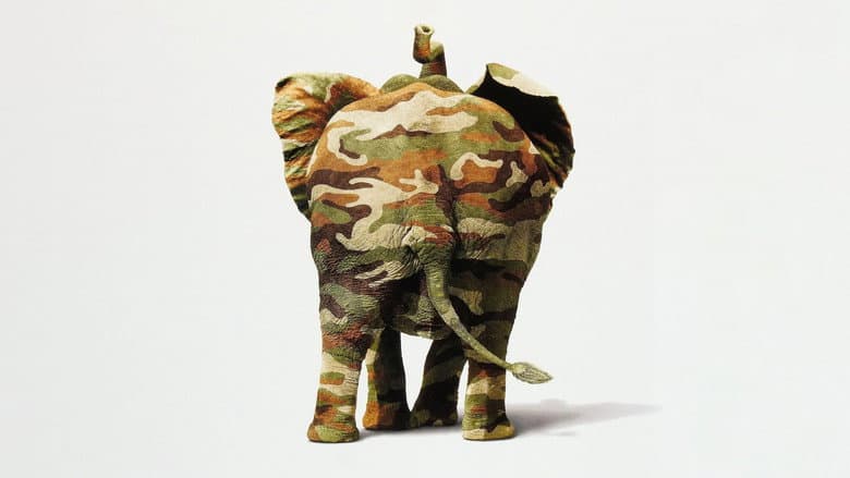 Operation Dumbo Drop still
